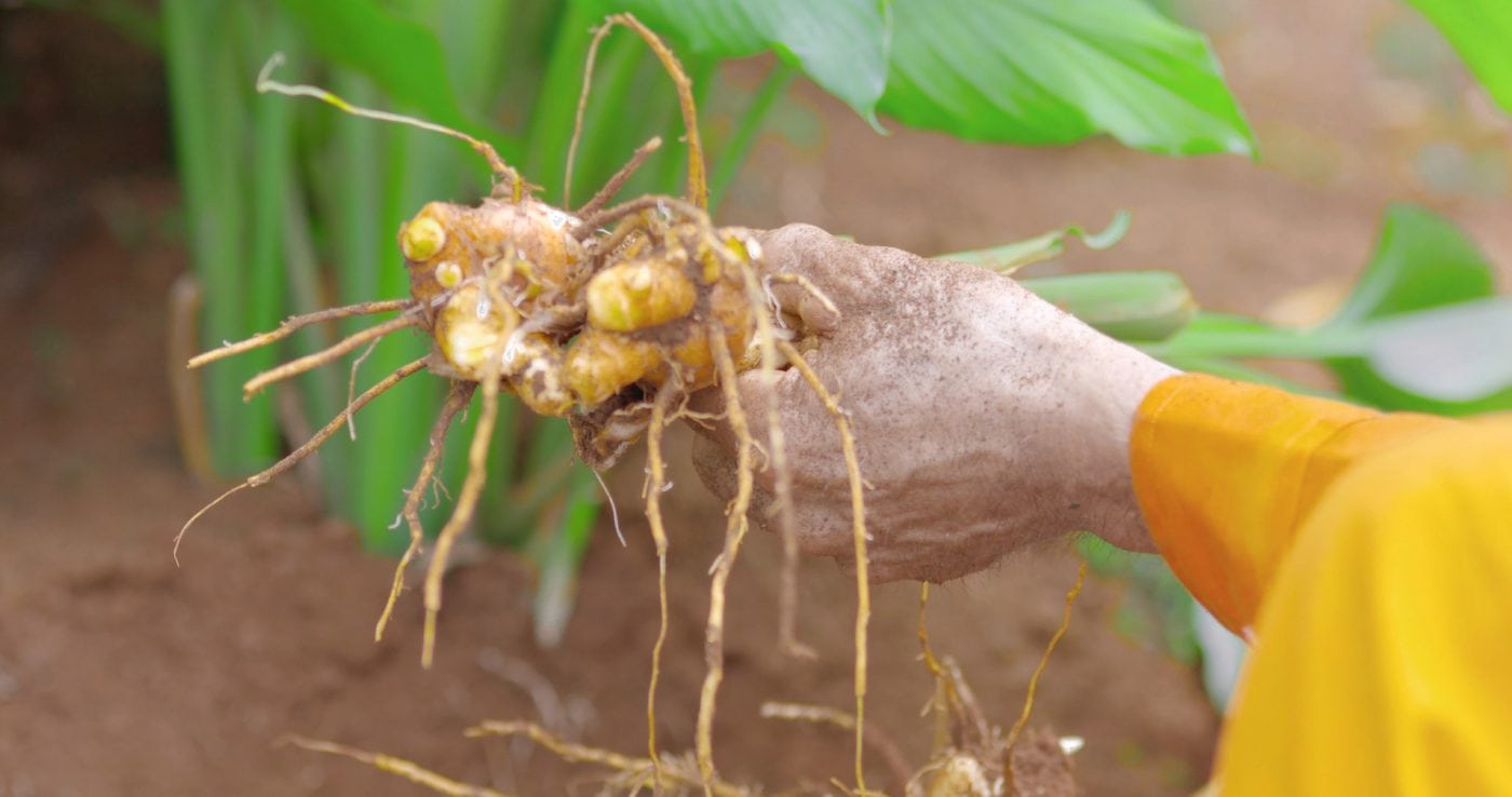 03 1400x738 - Forny Farm và Nhà Máy Forny