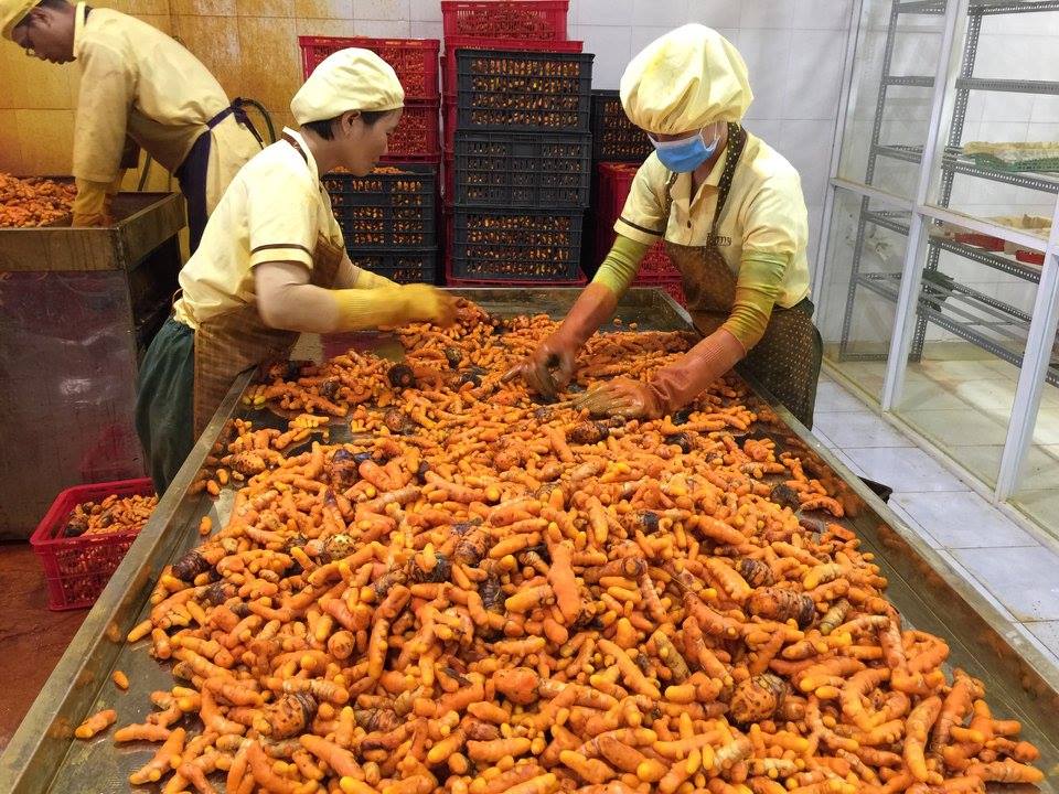 nha may forny 7 - Forny Farm và Nhà Máy Forny