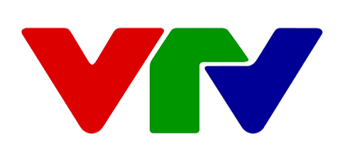 VTV 2013 - HomePage Forny