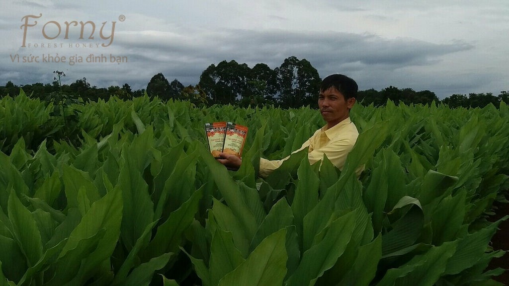 forny Farm 6 - Forny Farm và Nhà Máy Forny