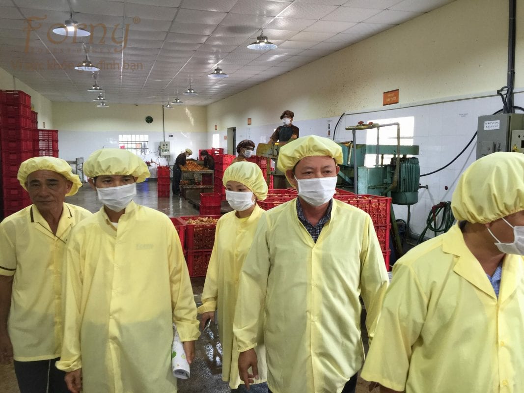 nha may forny 5 1067x800 - Forny Farm và Nhà Máy Forny